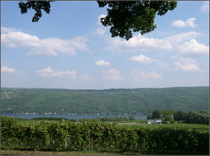 Keuka Lake Vineyards