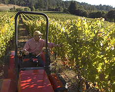 LaTour Vineyards