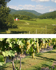 Persimmon Creek Vineyards