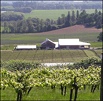 Benton-Lane Winery