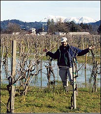 Fanucchi Vineyards