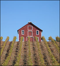 Peterson Winery - Dry Creek Valley, California